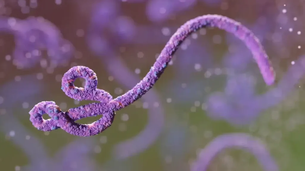 Ebola no Congo: surto é o 2º maior da história, dizem autoridades Ebola no Congo: surto é o 2º maior da história, dizem autoridades